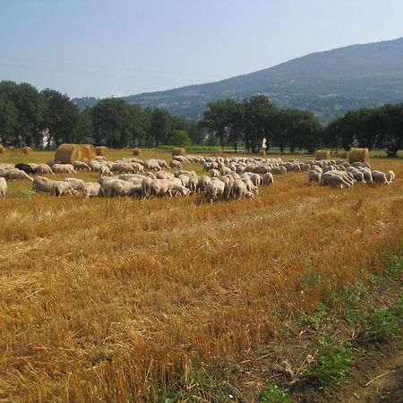Il Tugurio Agriturismo B&B Rivotorto Esterno foto